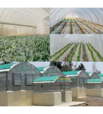 Jain Poly Tunnels